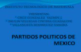 Partidos Politicos De Mexico Pan