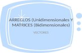 Arreglos (unimensionles y matrices (bidimensionales)