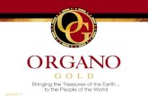 Organo Gold Presentation 2012  (En)