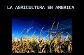 La agricultura en america precolombina
