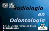 Radiología en Odontología