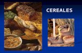 Ciencia y Tecnologia de Alimentos  II [Tipos de Cereales]