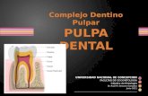Pulpa - Complejo Dentino Pulpar