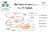 PresentacióN Sistema Nervioso AutóNomo
