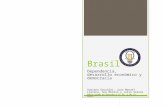 Presentación dependencia desarrollo democracia brasil