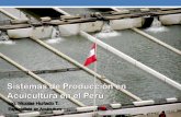 Sistemas de Produccion en Acuicultura en el Perú