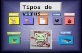 Virus Y Sus Consecuencias