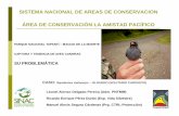 Problemática de Captura y Tenencia de Jilgueros.  Caso Parque Nacional Tapantí