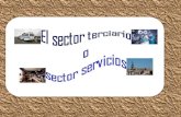Sector terciario 3ºA
