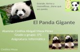 El panda gigante 1.C