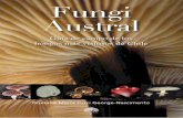 Revista Fungi Austral.
