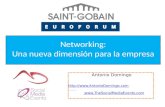 Networking: Una nueva dimensión para la empresa