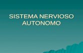 9. Sistema Nervioso Autonomo