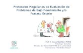 Protocolos Magallanes De Evaluacion De Primaria