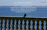 EL REINO ANIMAL(SPANISH)