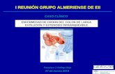 I reunión Grupo EII (Almería). Crohn y estenosis (F.J. Gallego)