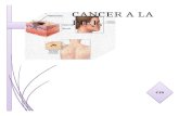 cancer a la piel