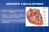 Circulatorio y Respiratorio