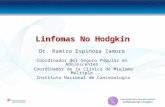 Linfoma no Hodkin