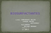 Biosurfactantes 2011 3º1º