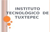 Instituto tecnológico  de tuxtepec