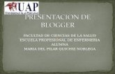 Presentacion De Blogger