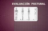 Evaluación postural