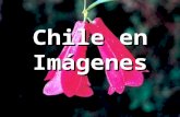 Chile en Imágenes