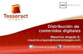 Distribución de contenidos digitales - Tesseract Pages