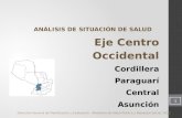 Analisis de situacion de salud Paraguay Eje Centro Occidental indicadores
