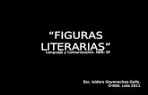 Figuras literarias 8º. 2010
