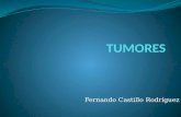 EVC tumores  e infecciones