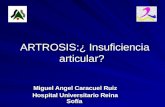 Artrosis 2 2007 (pp tshare)