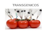 Expo de transgenicos[1]