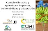 Julian R - Cambio climatico, impactos, vulnerabilidad, adaptacion AUGURA Apartado Julio 2011