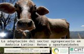Adaptación del sector agropecuario en América Latina: Retos y oportunidades para enfrentar el cambio climático