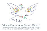 Educación para la paz en México