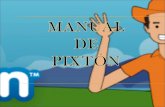 Manual pixton
