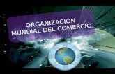 Caracteristicas Elementales De Los Principales Tratados Comerciales De Mexico