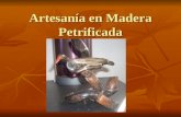 ArtesaníA En Madera Petrificada