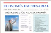 Introduccion Economia empresarial