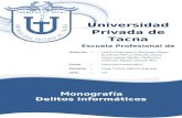 Monografía - Delitos Informaticos