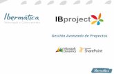 IB Project, ERP para Ingenierías y empresas que Gestionan Proyectos