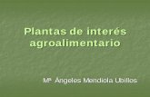 Plantas interes agricola presentación