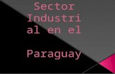 Sector industrial en el         paraguay