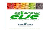 Fertilizante Ecológico EVE Ecogrow