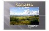 Ecosistemas: Sabana