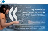 OCDE: el gran reto la conectividad competitiva