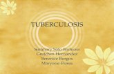 Tuberculosis (salud comunal)
