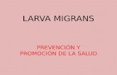 Prevención Larva migrans